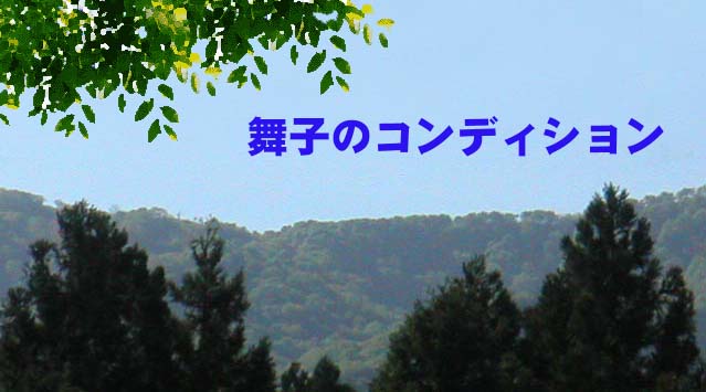 ���q�̃p�m���}�ʐ^