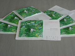 ���̂͂����ʐ^